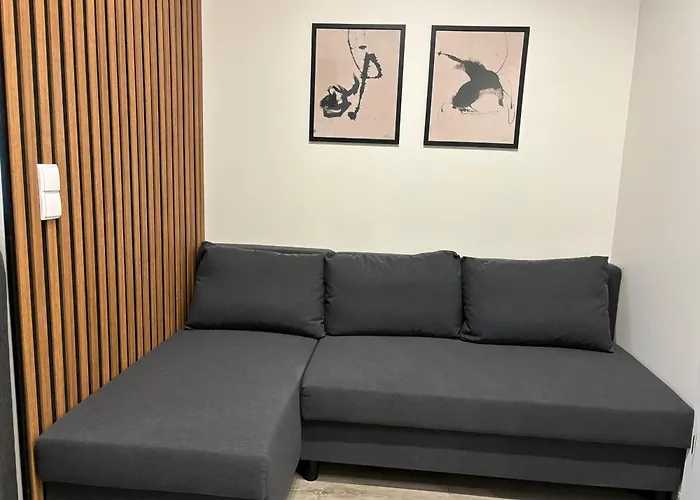 Wyjatkowe Apartamenty W Centrum